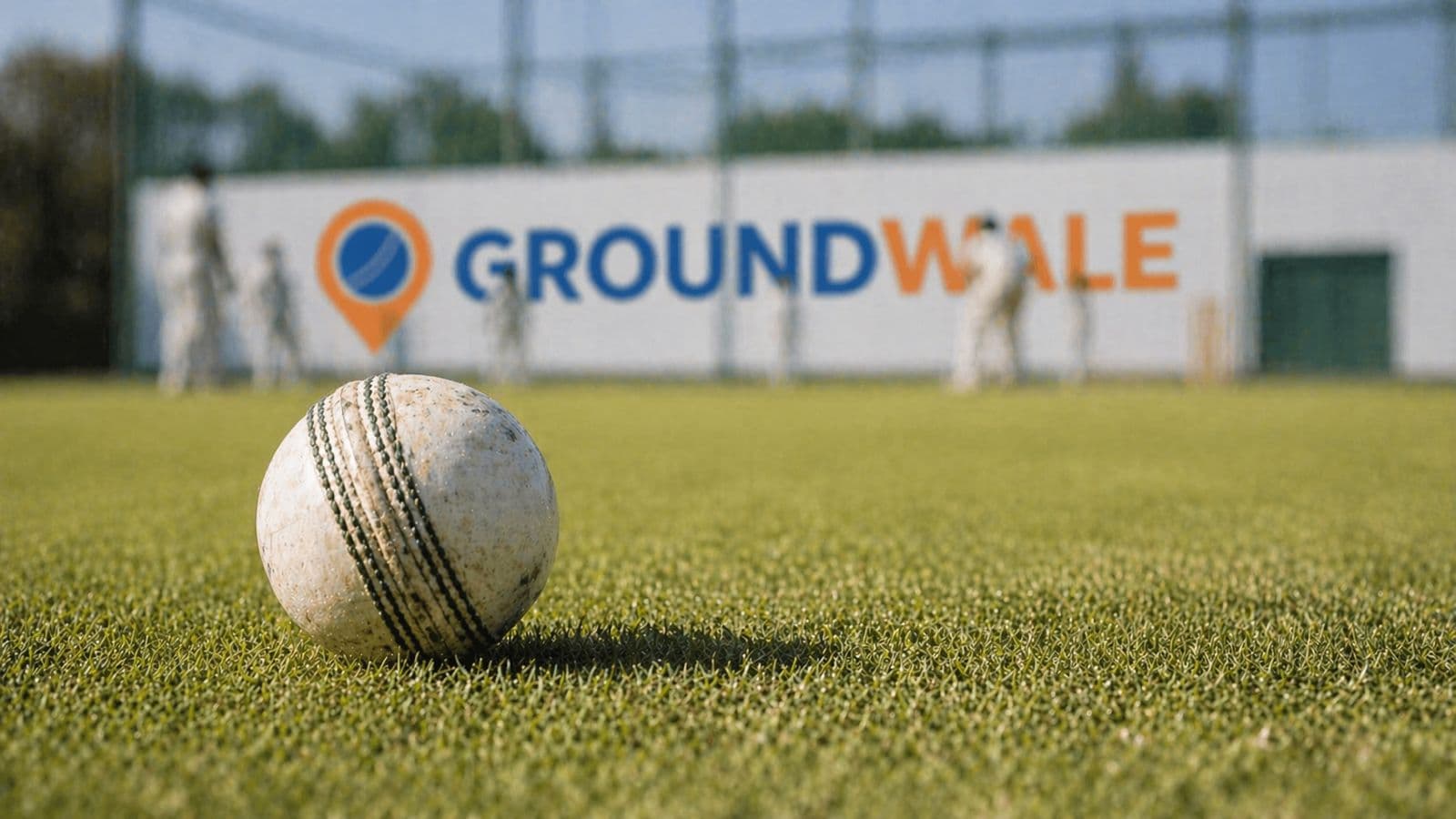 Cricket pitch